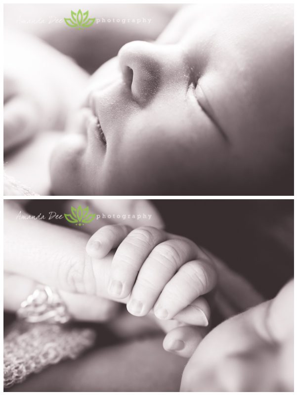 Newborn Baby Boy close up face and hand