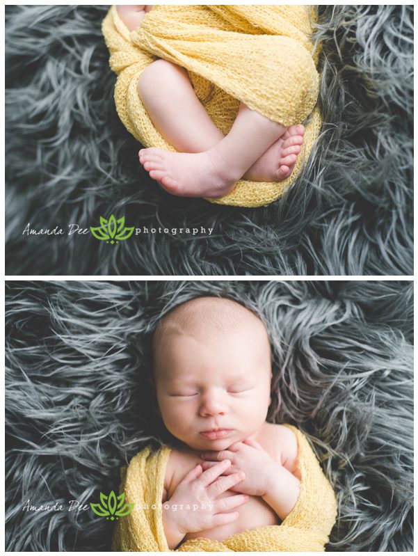Baby Boy Newborn Session Newborn Photography Amanda Dee Photography Cedar Rapids Iowa Newborn Photographer Yellow Gray Fur