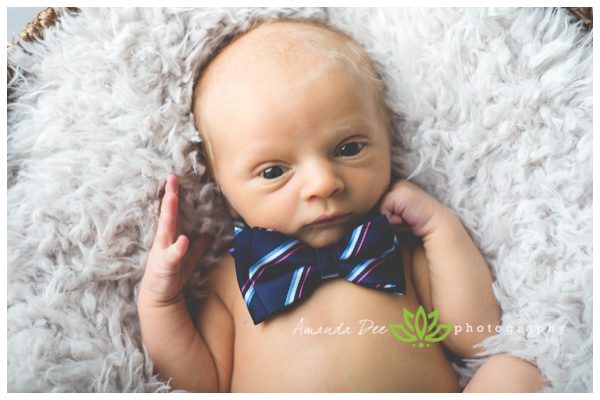 newborn baby boy bow tie awake