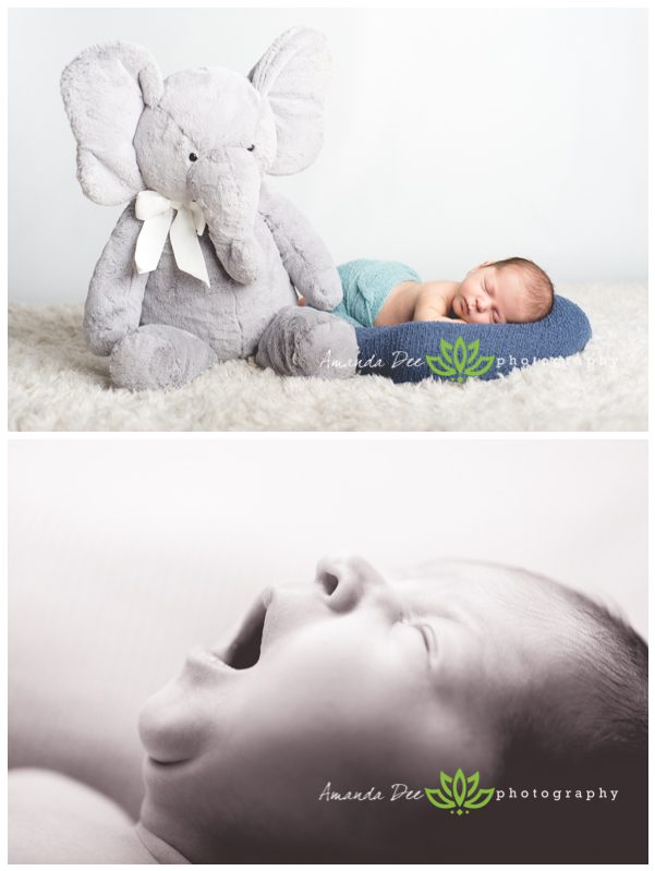 Baby Boy Newborn Photography with stuffed elephant big yawn black and white