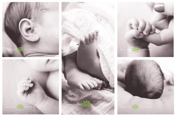 Baby Boy Newborn Photography black and white close ups hands feet ears hair