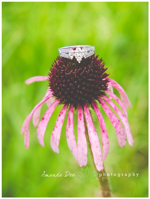 engagement ring on pink wildflower flower macro close up