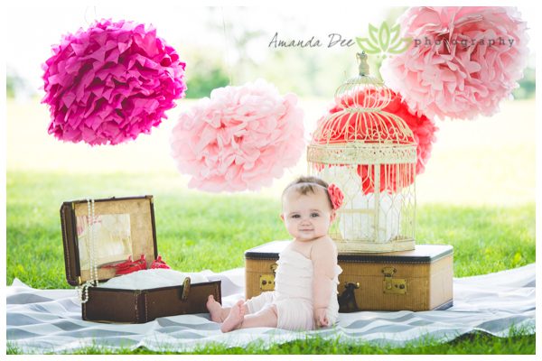 8 Month old 9 month old outdoor photo session pink pons old suitcases bird cage Amanda Dee Photography Child and Baby Photographer