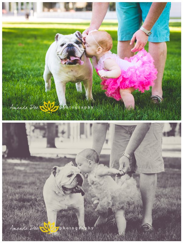 One Year Old Girl Photo Session Outdoor Park Amanda Dee Photography pink tutu with dog kisses bulldog