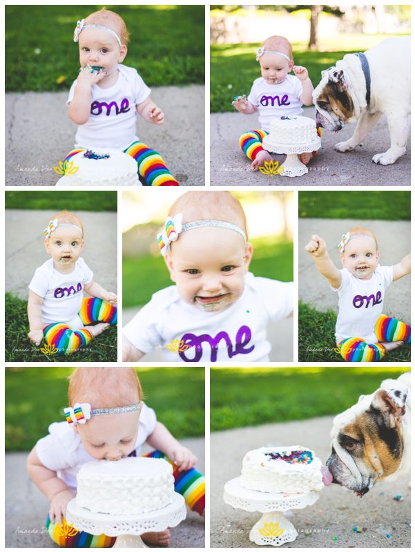 One Year Old Girl Photo Session Outdoor Park Amanda Dee Photography cake smash rainbow leggings sharing with bulldog dog