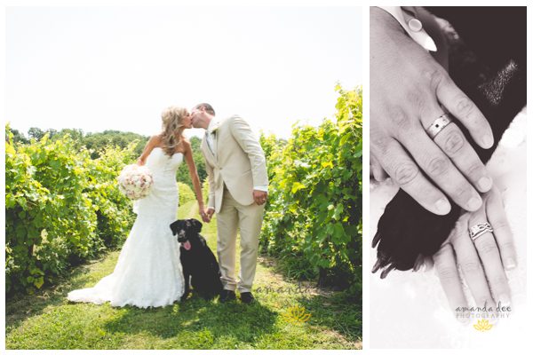 Summer Wedding Amanda Dee Photography bride and groom with dog black lab paw and ring shot outside at winery in vineyard