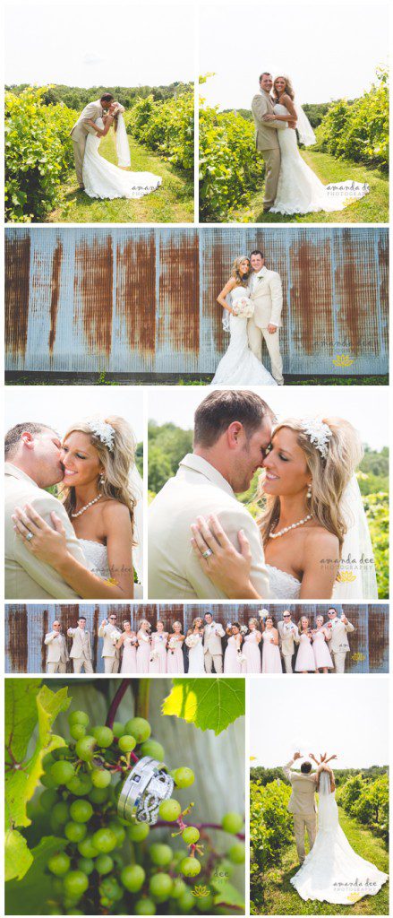 Summer Wedding Amanda Dee Photography bride and groom and bridal party outside at winery in vineyard