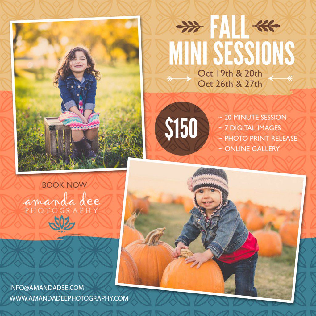 Fall Mini Session Flyer -5x5